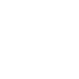 correct icon