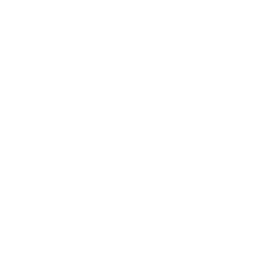 renewable energy icon