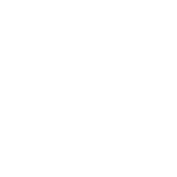 lightbulb icon